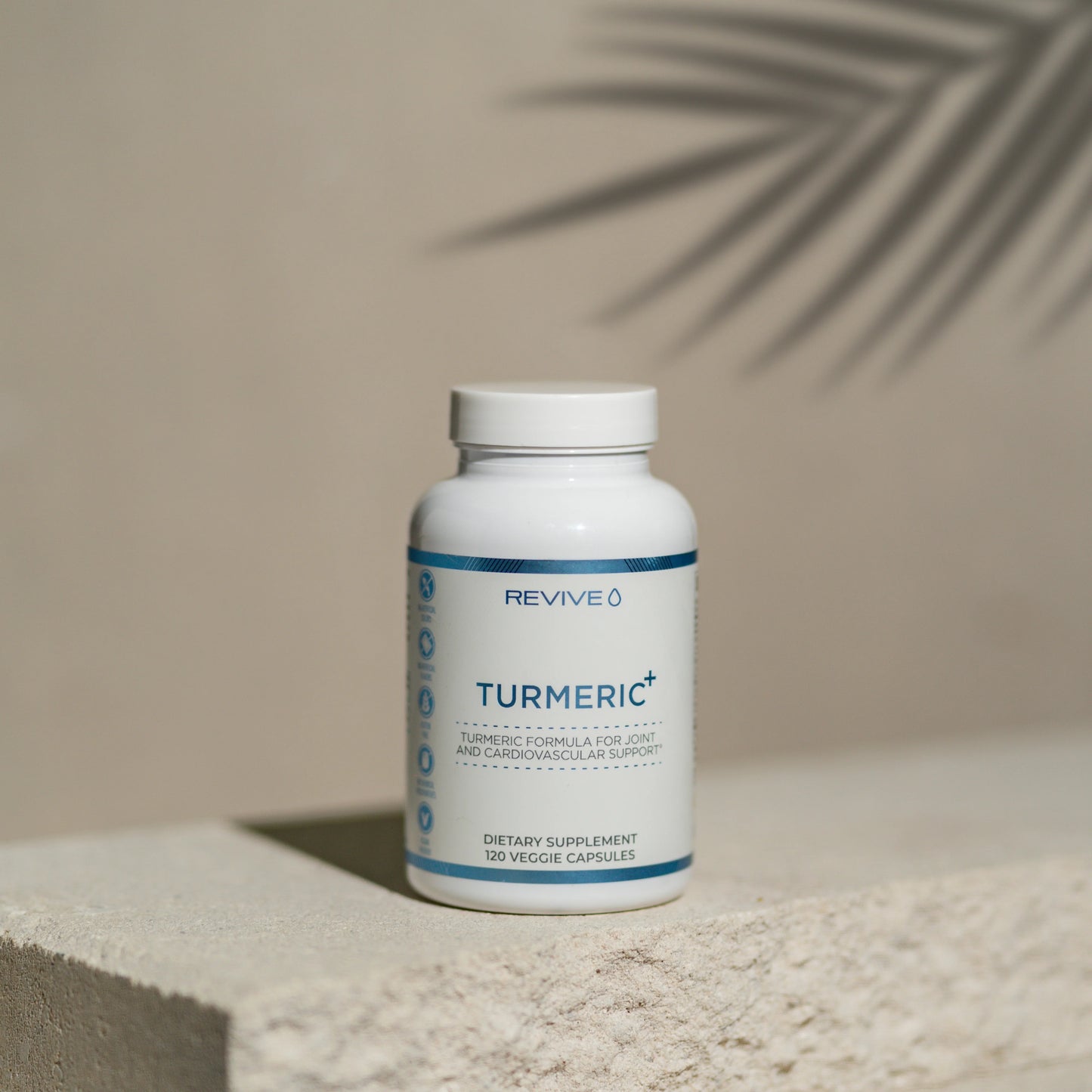 REVIVE TURMERIC+ 300 GR. 120 SERV.