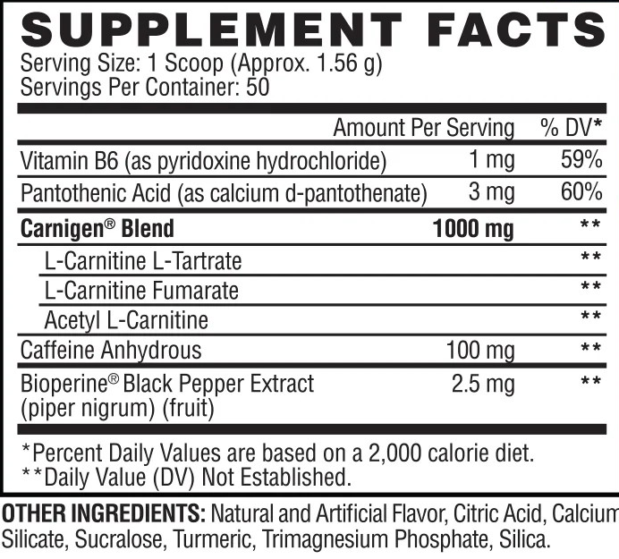 EVOGEN CARNIGEN 50 SERV. / RASPBERRY LEMONADE